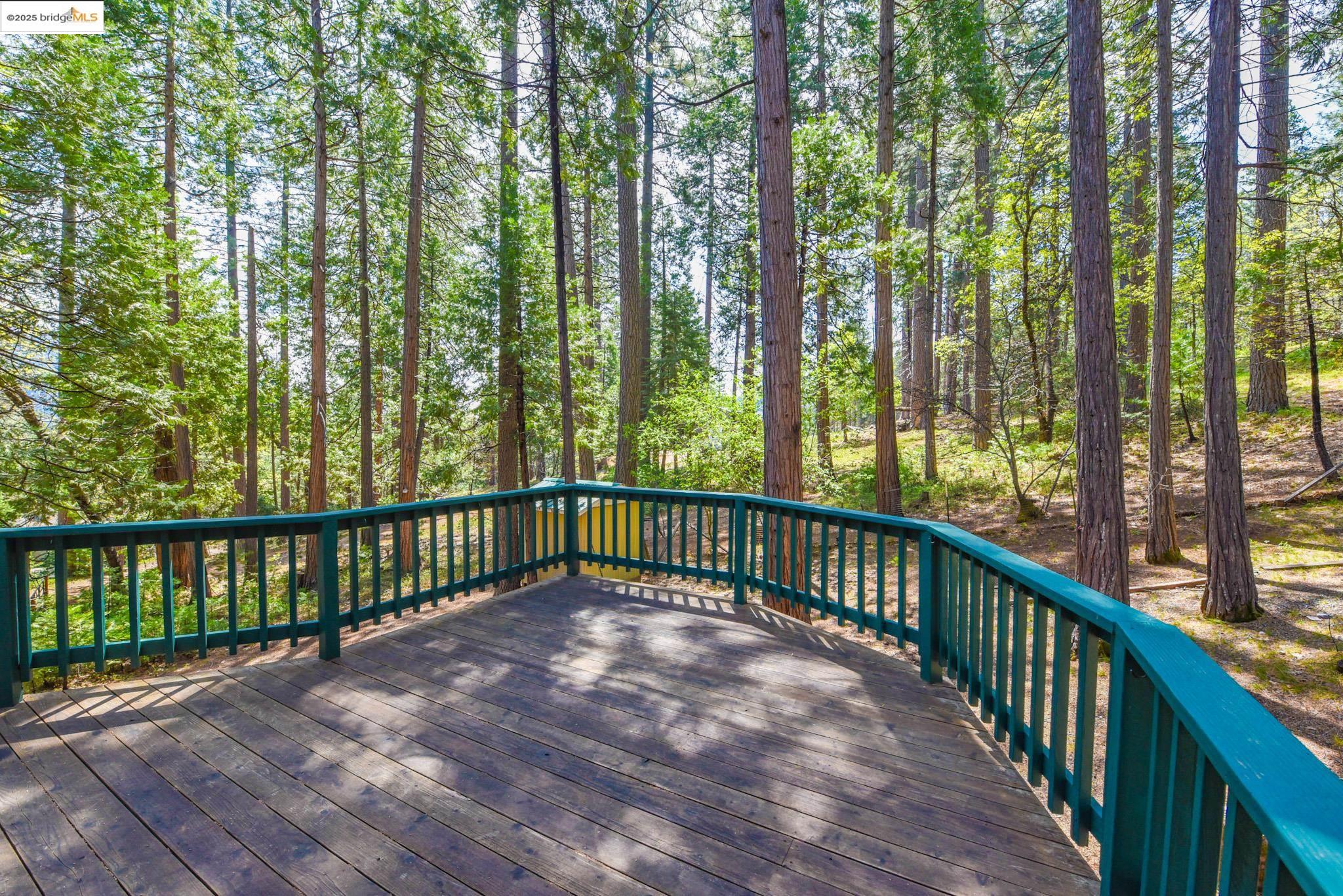 Detail Gallery Image 48 of 60 For 19899 Sunrise Dr, Twain Harte,  CA 95383 - 3 Beds | 2 Baths