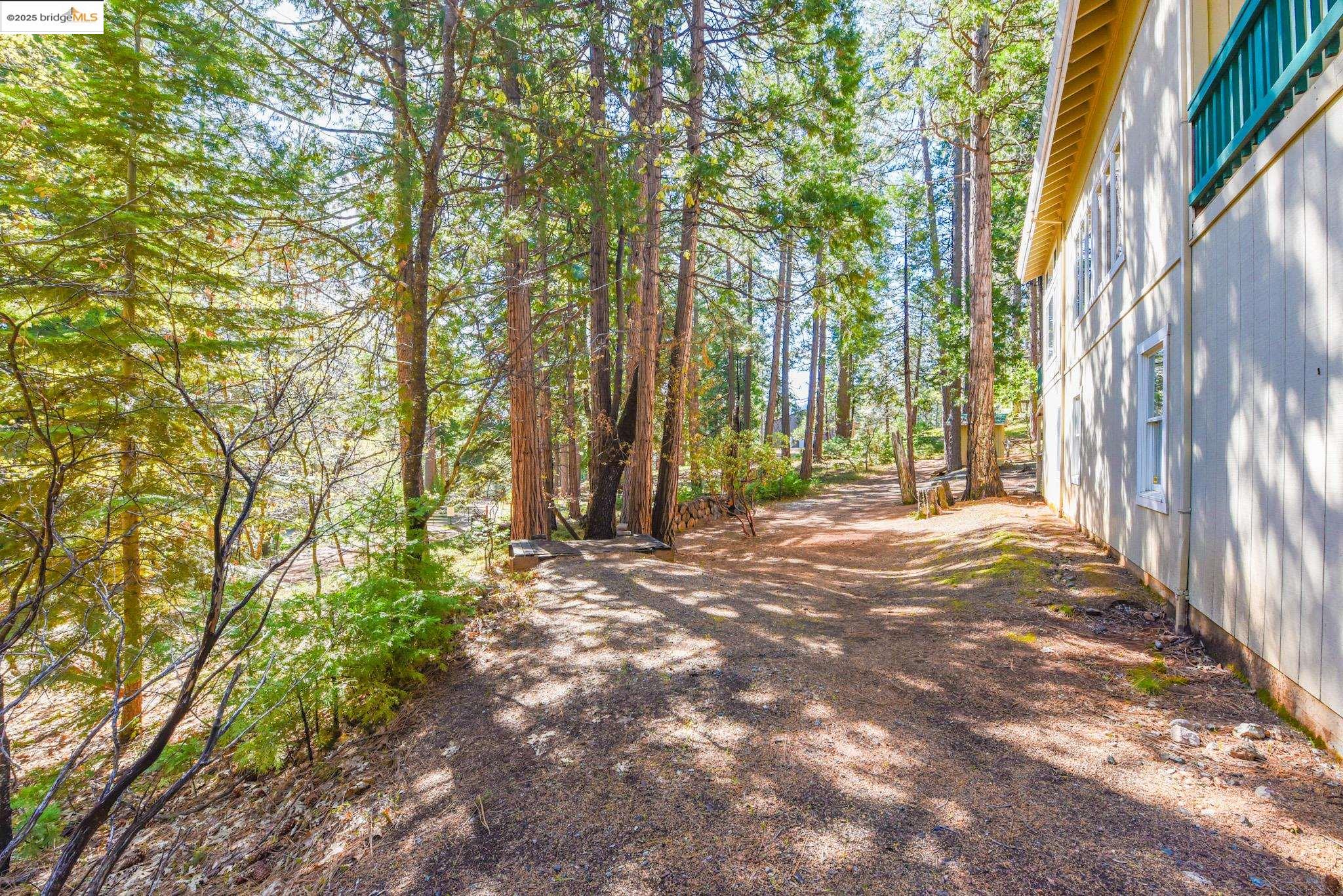 Detail Gallery Image 52 of 60 For 19899 Sunrise Dr, Twain Harte,  CA 95383 - 3 Beds | 2 Baths