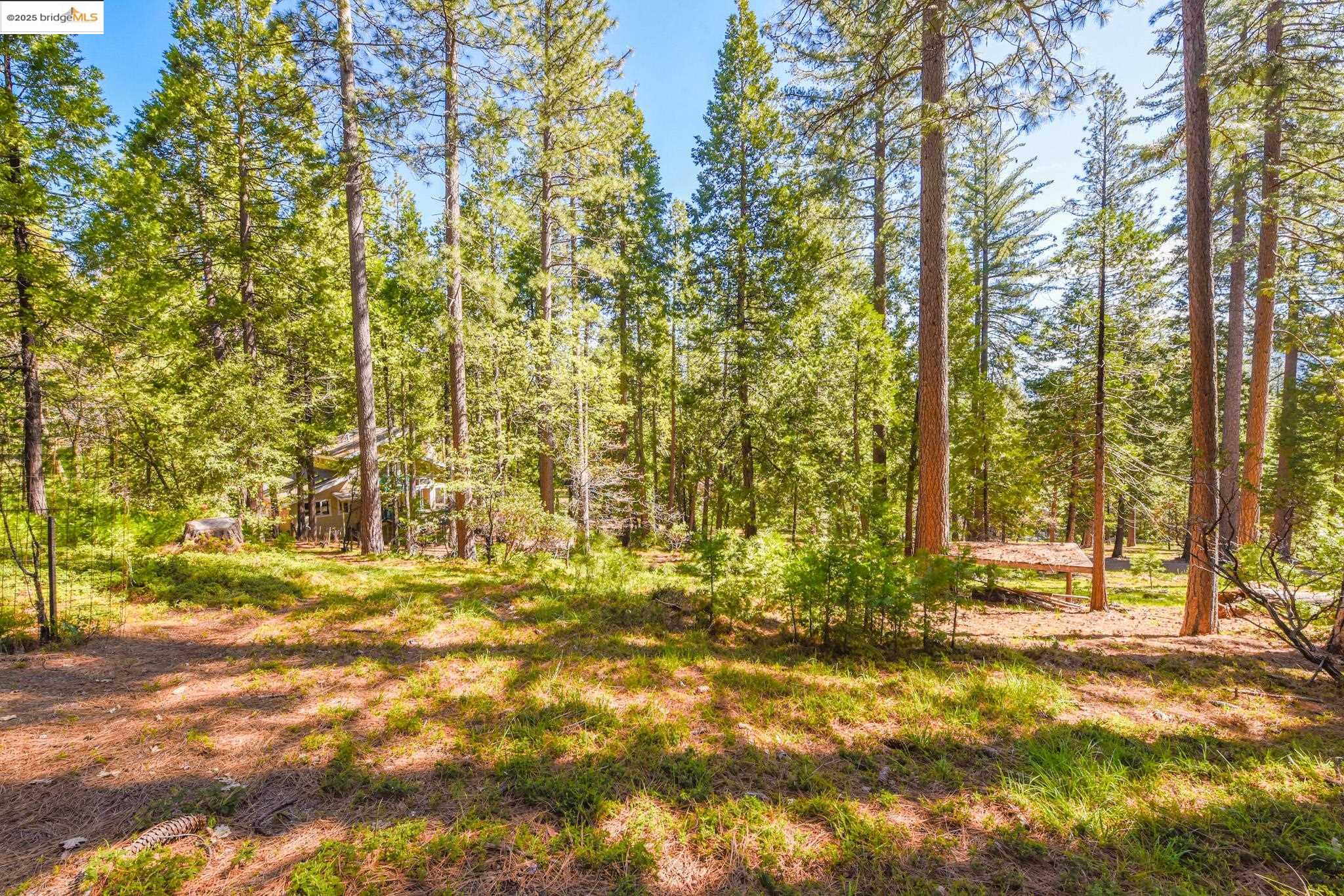 Detail Gallery Image 55 of 60 For 19899 Sunrise Dr, Twain Harte,  CA 95383 - 3 Beds | 2 Baths