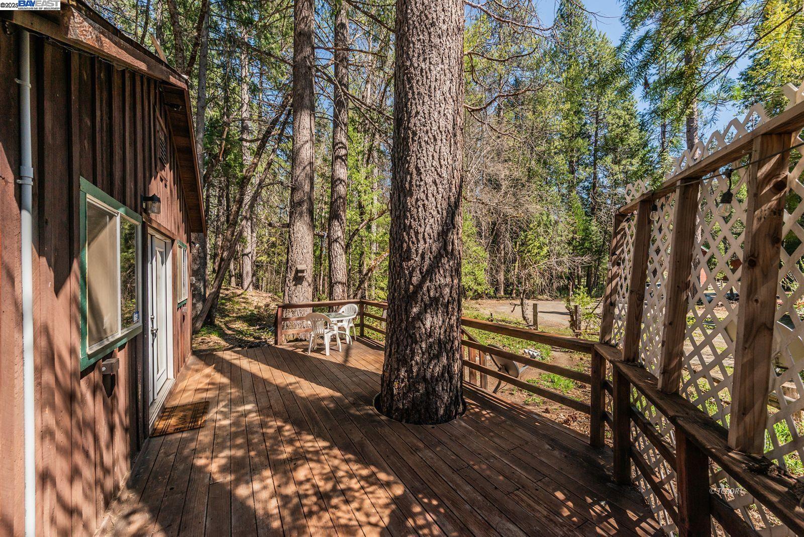 Detail Gallery Image 27 of 35 For 60 Dorleska Ct, Trinity Center,  CA 96091 - 1 Beds | 1 Baths