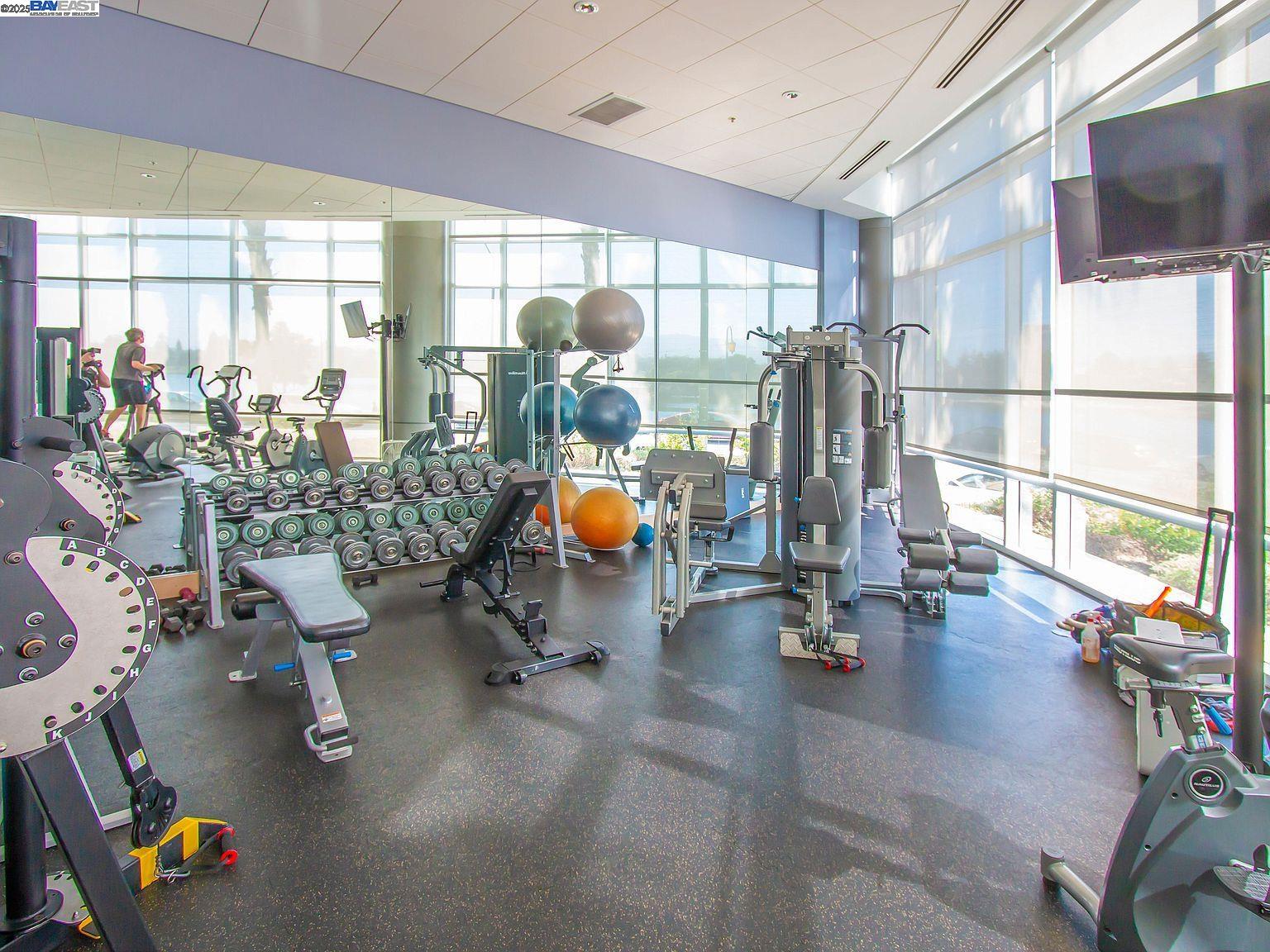 Photo #51: 41095787 Listing: Photo #51