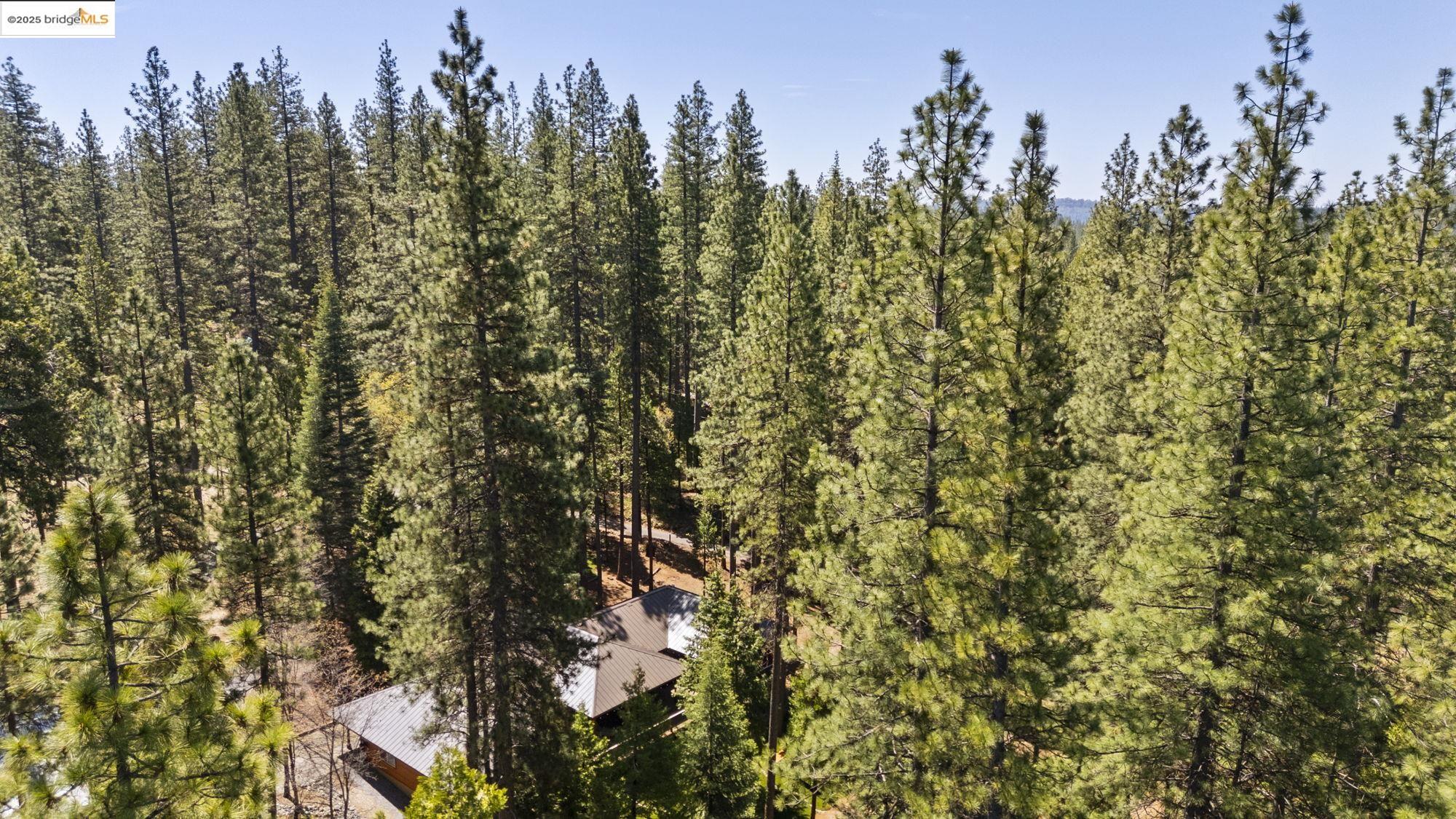 Detail Gallery Image 56 of 57 For 3366 Ponderosa Lot #8, Arnold,  CA 95223 - 3 Beds | 3 Baths
