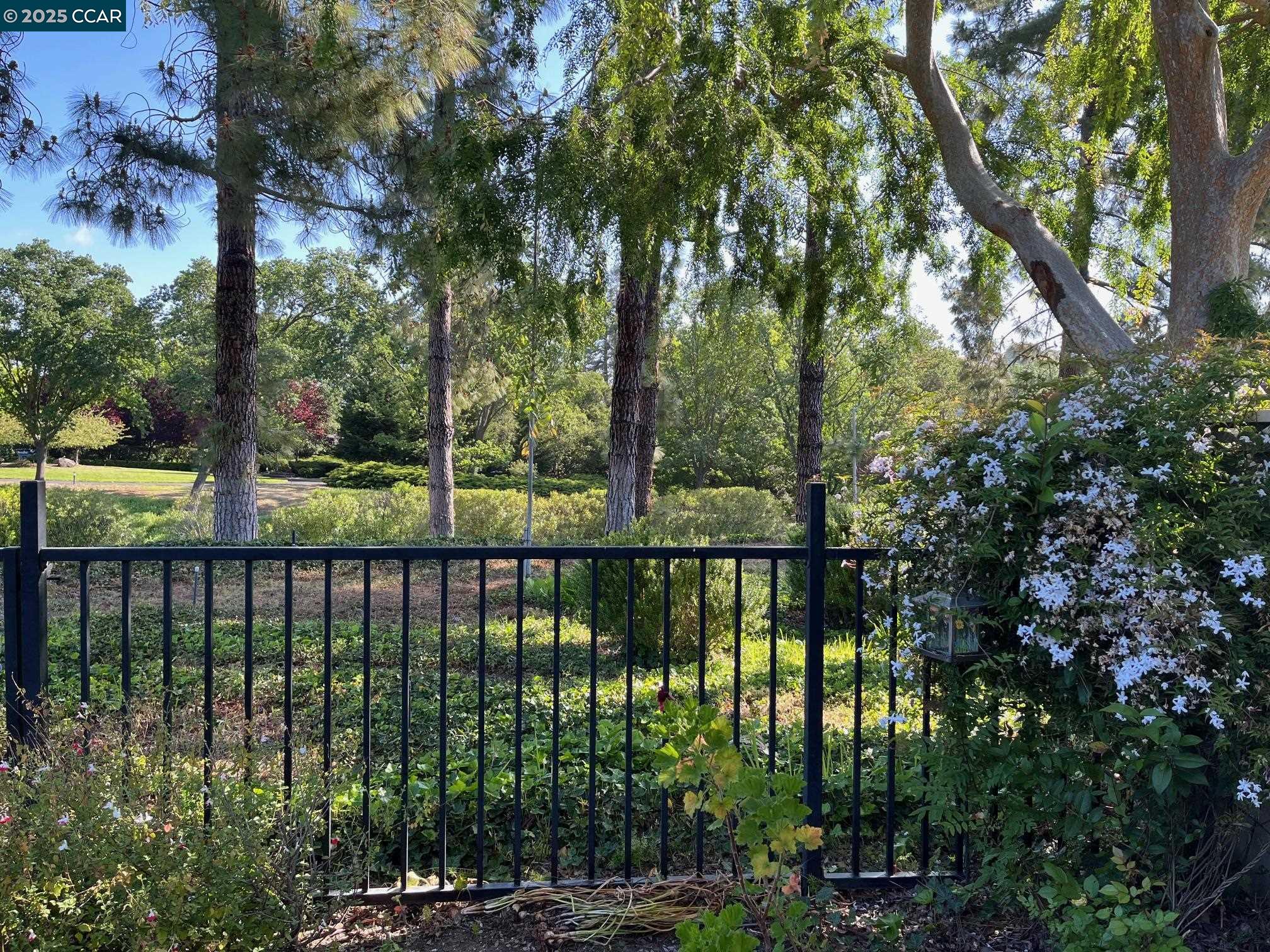 Photo #16: 41095858 Listing: Photo #16