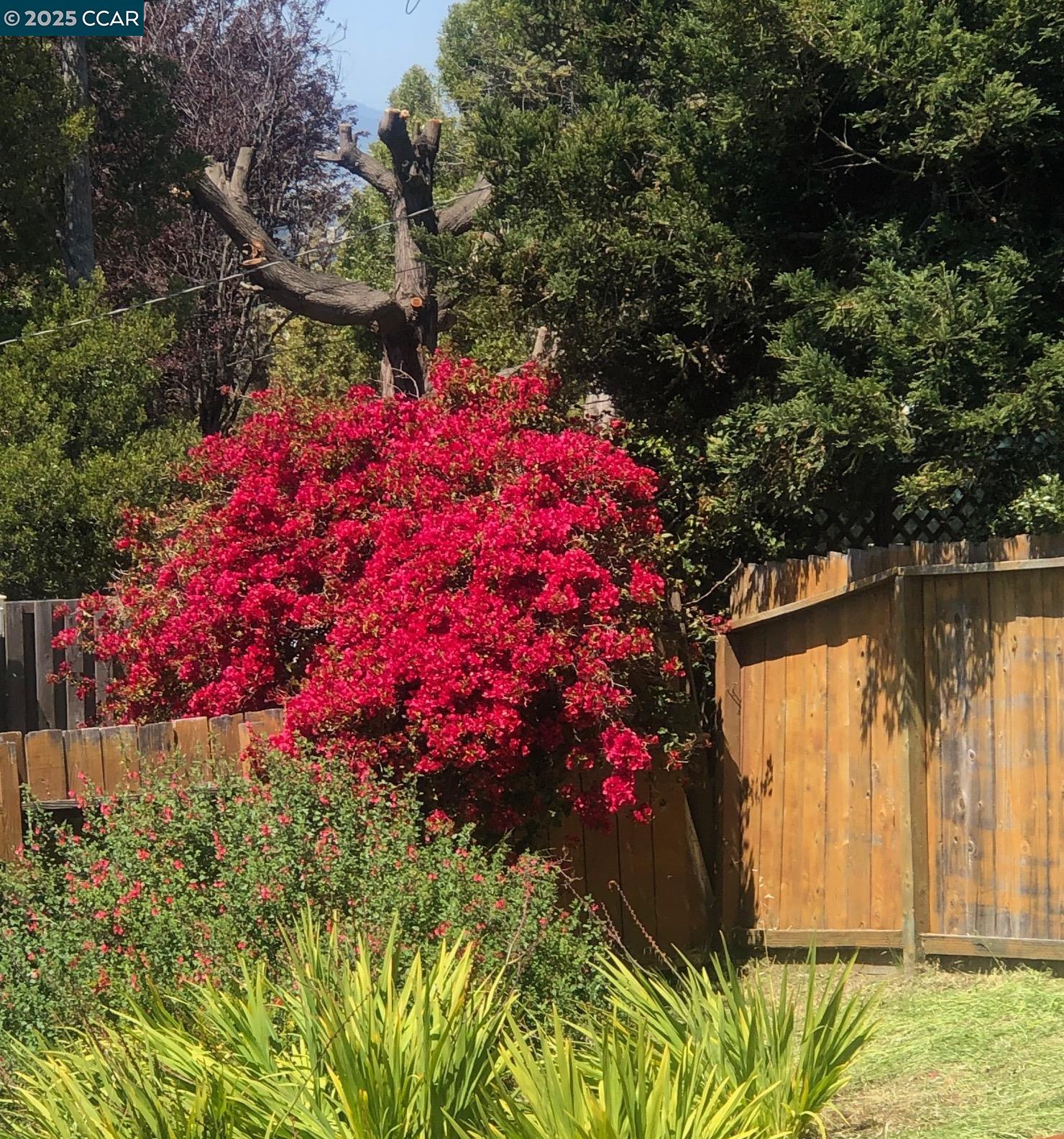 Detail Gallery Image 28 of 46 For 1502 Hillcrest Road, San Pablo,  CA 94806 - 2 Beds | 2/1 Baths
