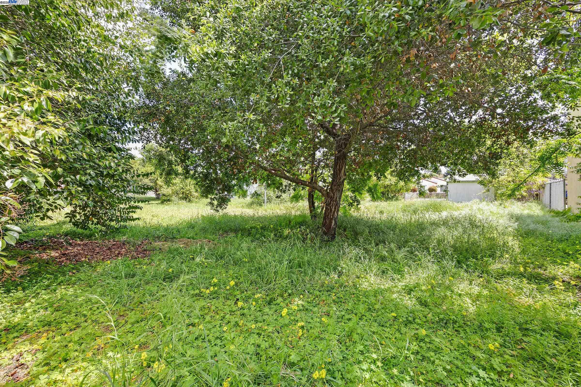 Detail Gallery Image 14 of 60 For 37879 3rd St, Fremont,  CA 94536 - 3 Beds | 1 Baths