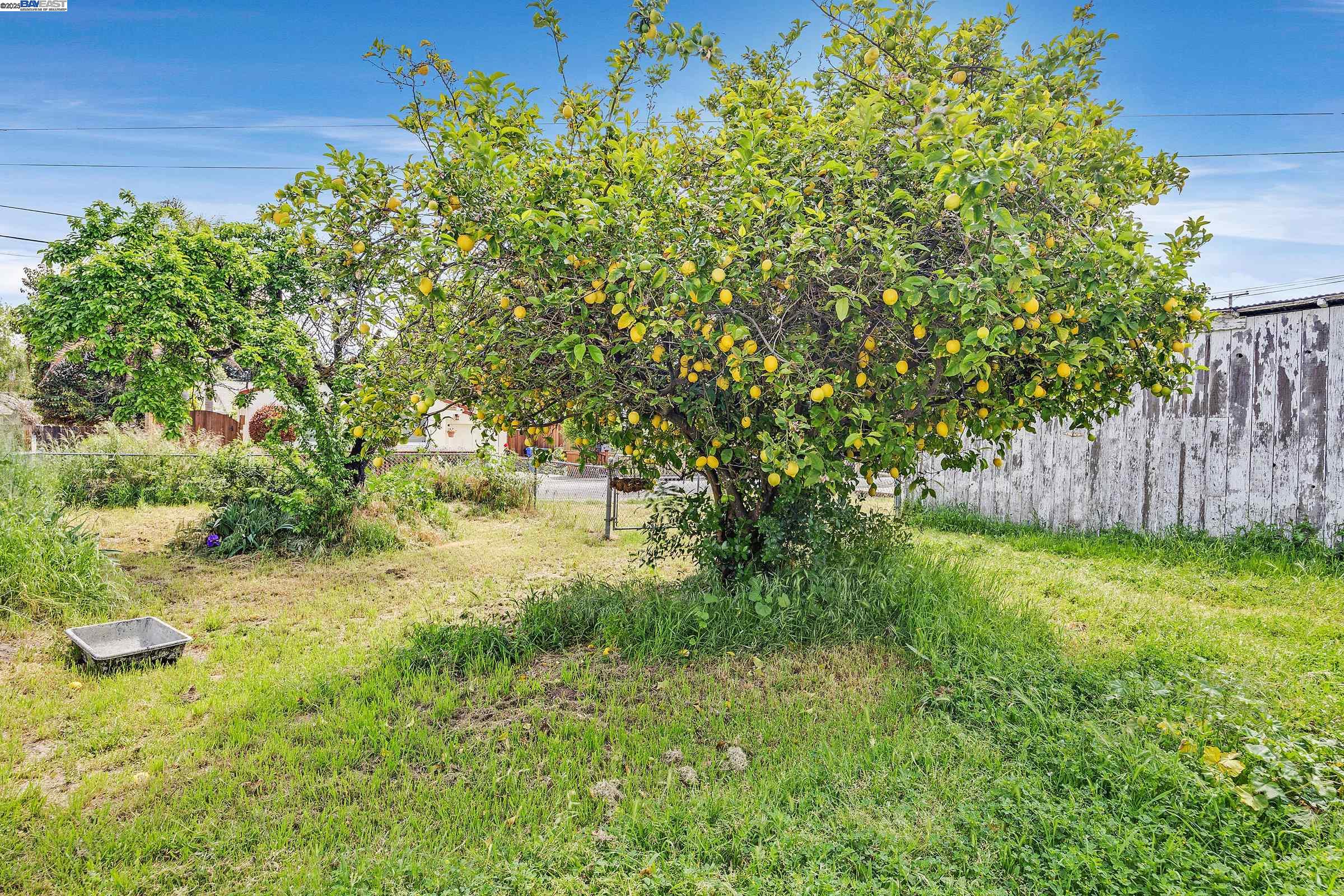 Detail Gallery Image 10 of 60 For 37879 3rd St, Fremont,  CA 94536 - 3 Beds | 1 Baths