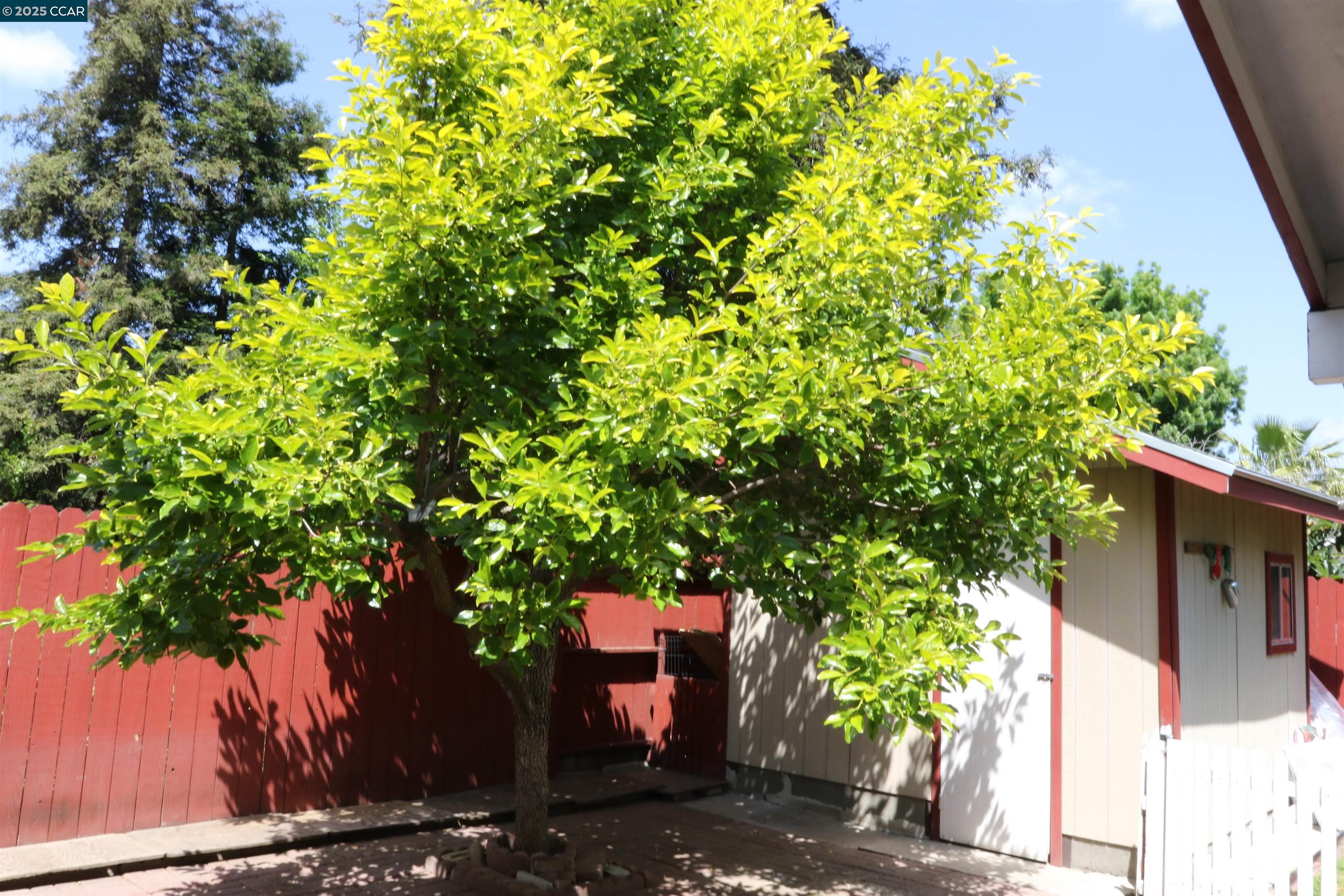 Detail Gallery Image 39 of 41 For 5286 Barbados Cir, Stockton,  CA 95210 - 3 Beds | 2 Baths