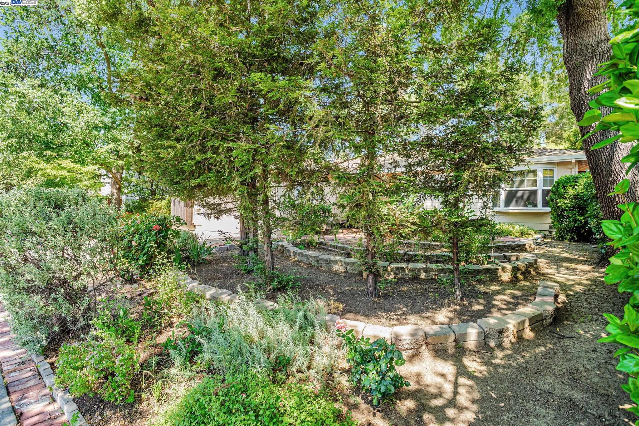 Detail Gallery Image 4 of 49 For 1137 Alice St, Davis,  CA 95616 - 4 Beds | 3 Baths