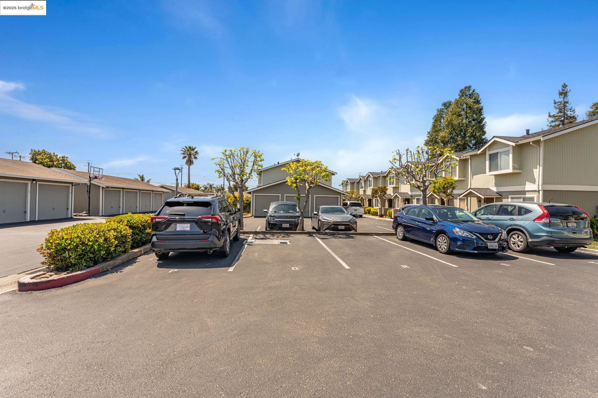 Photo #36: 41096036 Listing: Photo #36