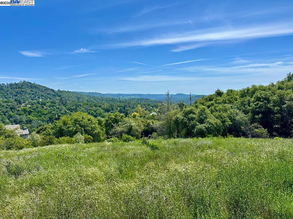 Detail Gallery Image 5 of 15 For 0 El Caminto Rd, Shingle Springs,  CA 95682 - – Beds | – Baths