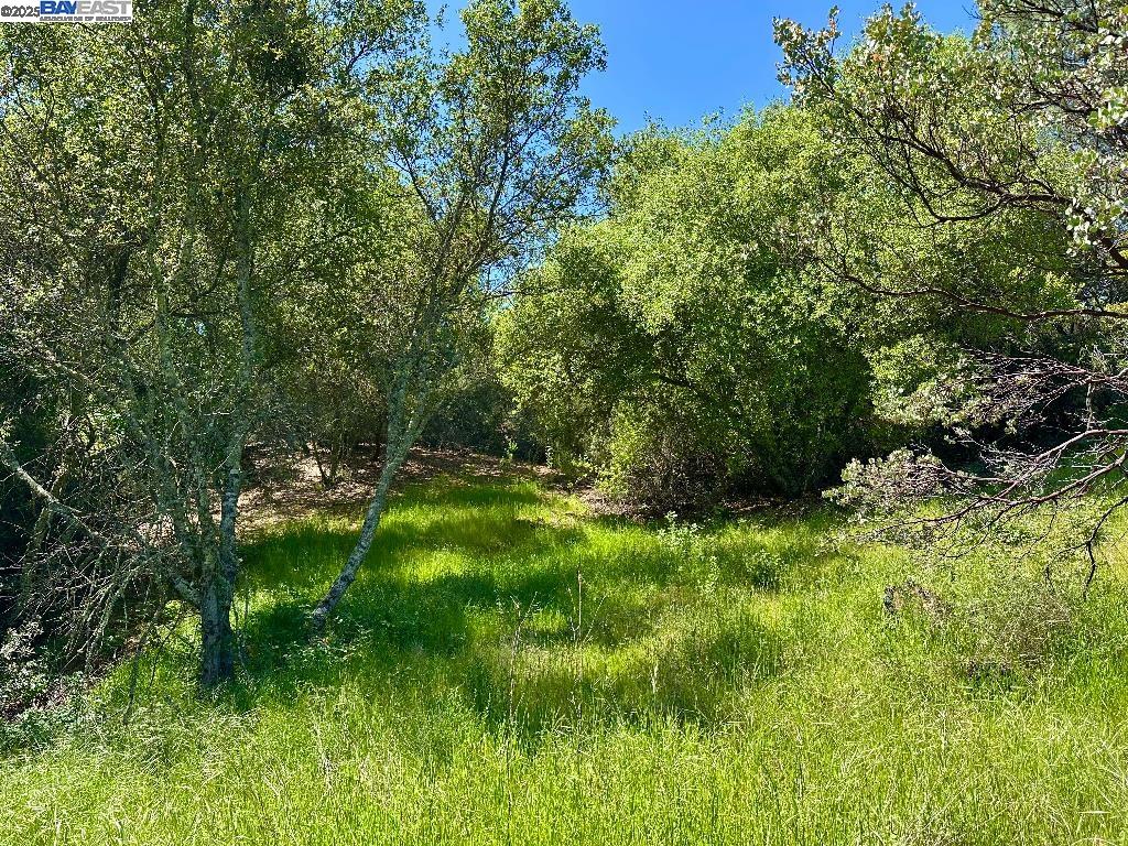 Detail Gallery Image 6 of 15 For 0 El Caminto Rd, Shingle Springs,  CA 95682 - – Beds | – Baths