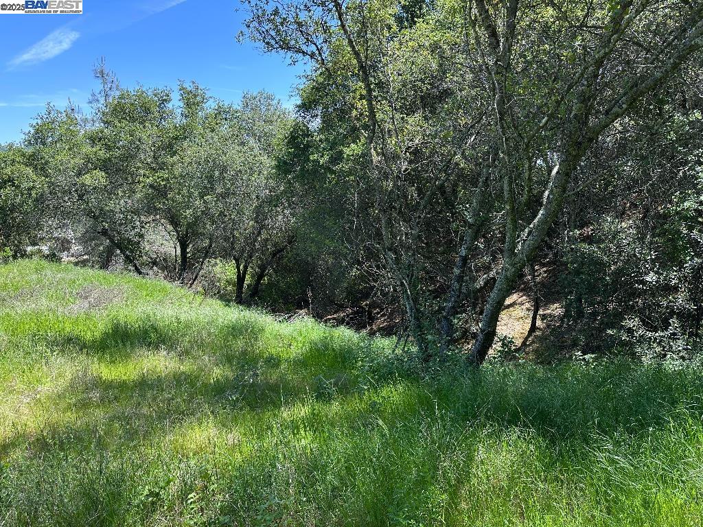 Detail Gallery Image 7 of 15 For 0 El Caminto Rd, Shingle Springs,  CA 95682 - – Beds | – Baths