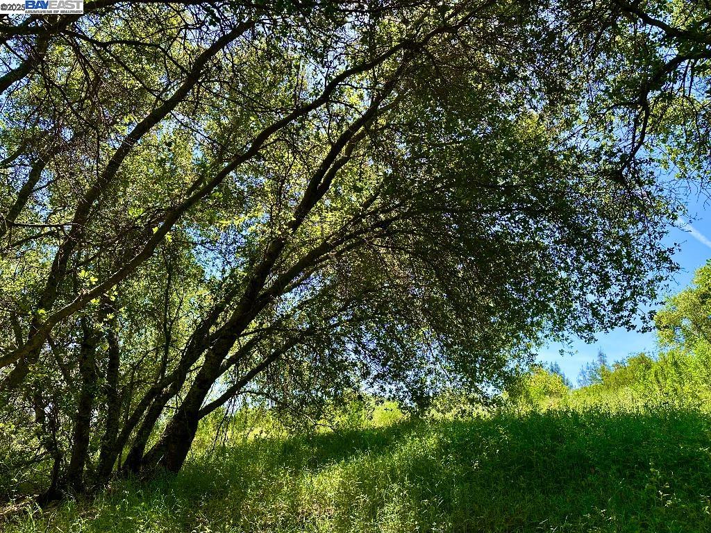 Detail Gallery Image 9 of 15 For 0 El Caminto Rd, Shingle Springs,  CA 95682 - – Beds | – Baths