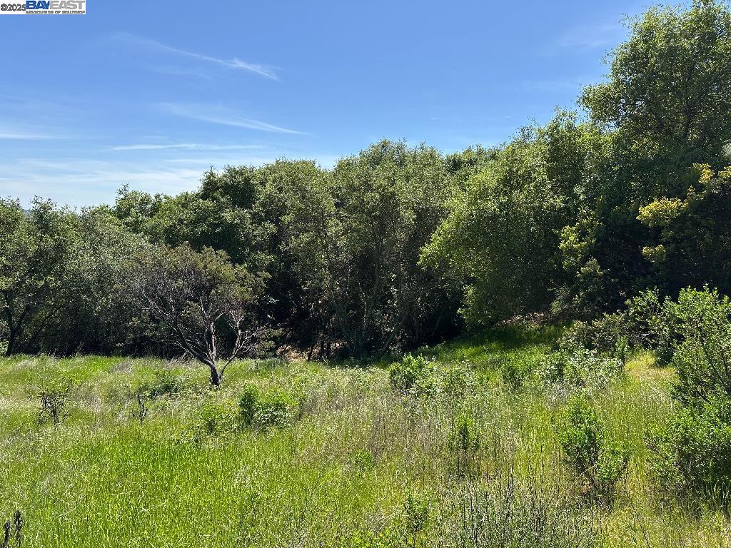 Detail Gallery Image 10 of 15 For 0 El Caminto Rd, Shingle Springs,  CA 95682 - – Beds | – Baths