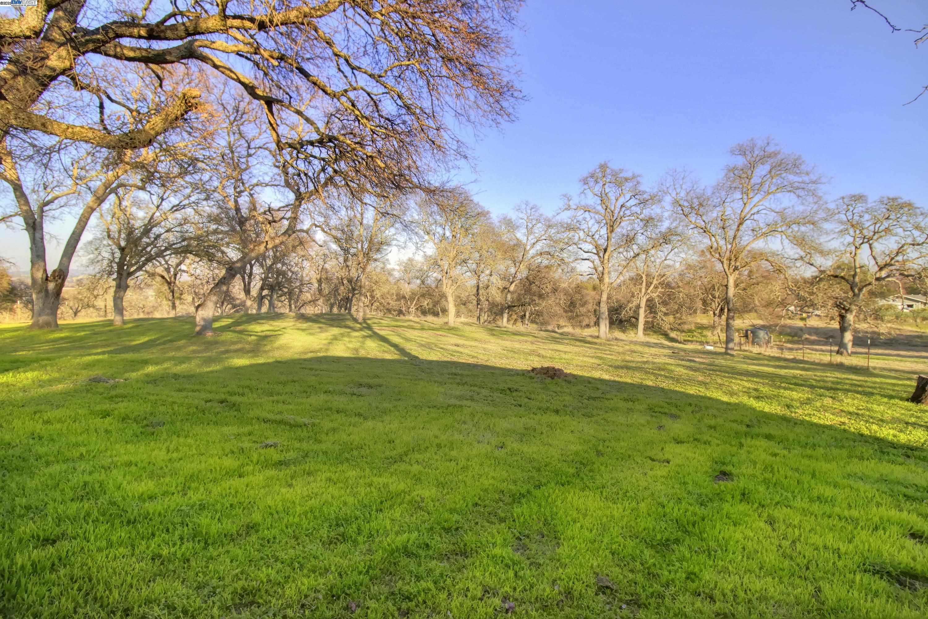 Detail Gallery Image 41 of 60 For 15828 Barney Rd, Plymouth,  CA 95669 - 3 Beds | 3 Baths