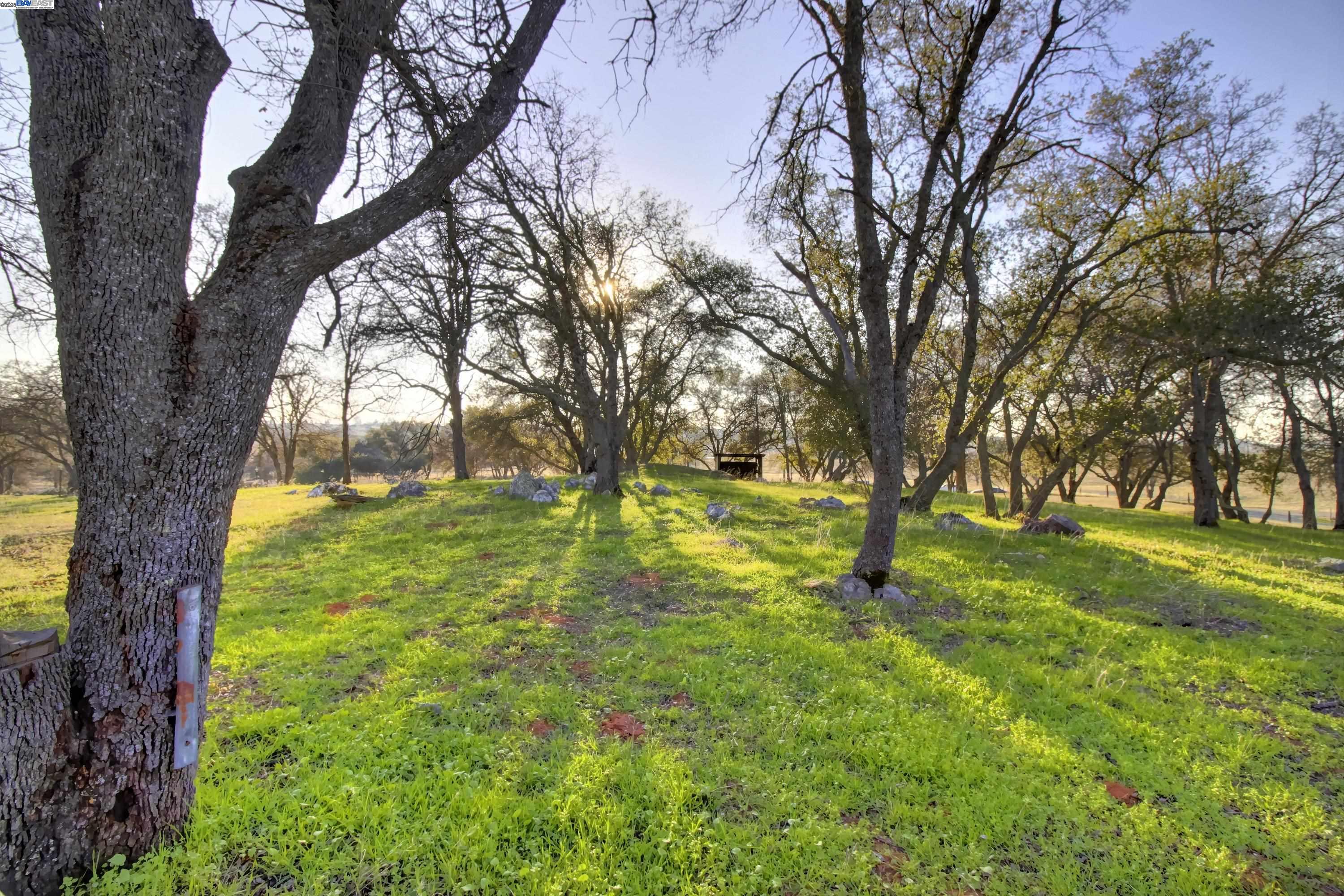 Detail Gallery Image 47 of 60 For 15828 Barney Rd, Plymouth,  CA 95669 - 3 Beds | 3 Baths