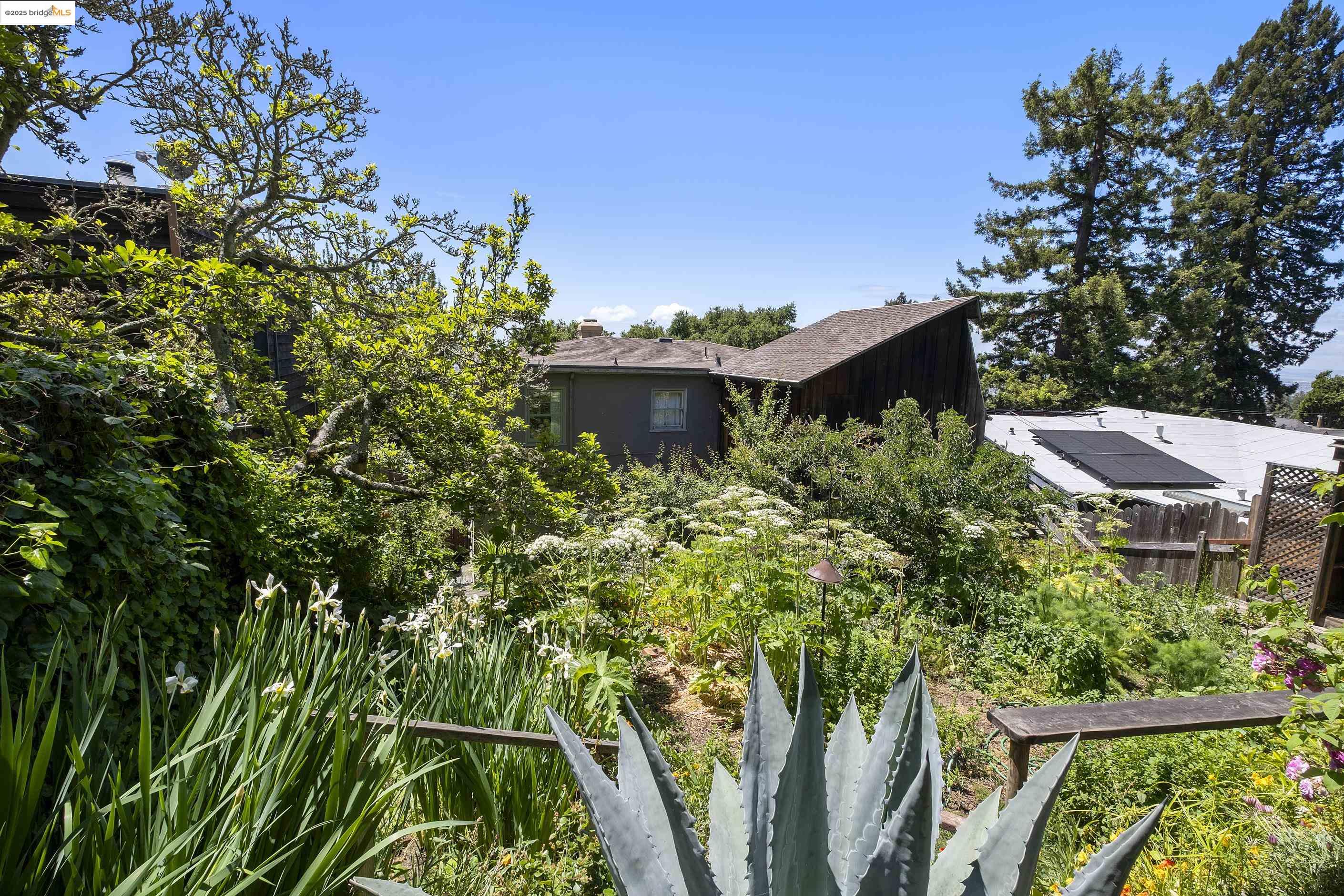 Detail Gallery Image 44 of 58 For 1001 Cragmont Ave, Berkeley,  CA 94708 - 4 Beds | 1/1 Baths
