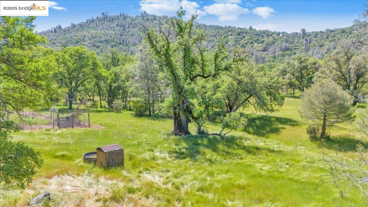 Detail Gallery Image 56 of 60 For 180 Stallion Way, Angels Camp,  CA 95222 - 3 Beds | 2 Baths