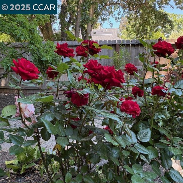 2150 Whyte Park Ave, Walnut Creek, California 94595, 3 Bedrooms Bedrooms, 8 Rooms Rooms,2 BathroomsBathrooms,Residential Lease,For Rent,2150 Whyte Park Ave,41096093