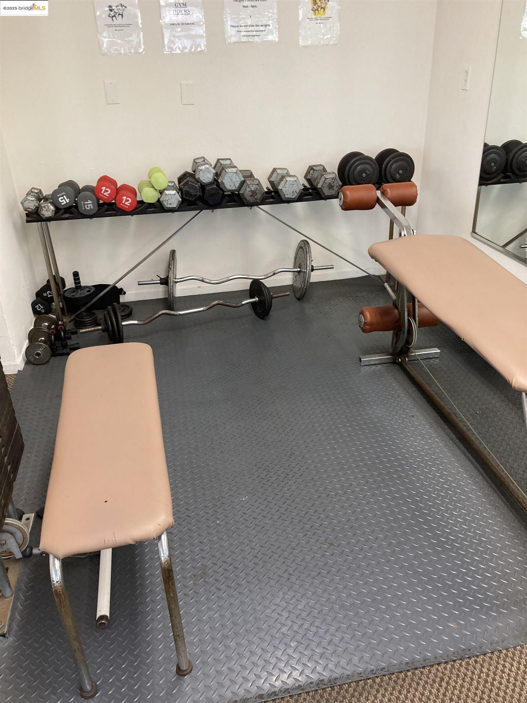 288 Whitmore St., Oakland, California 94611, 1 Bedroom Bedrooms, 4 Rooms Rooms,1 BathroomBathrooms,Residential Lease,For Rent,288 Whitmore St.,41096122