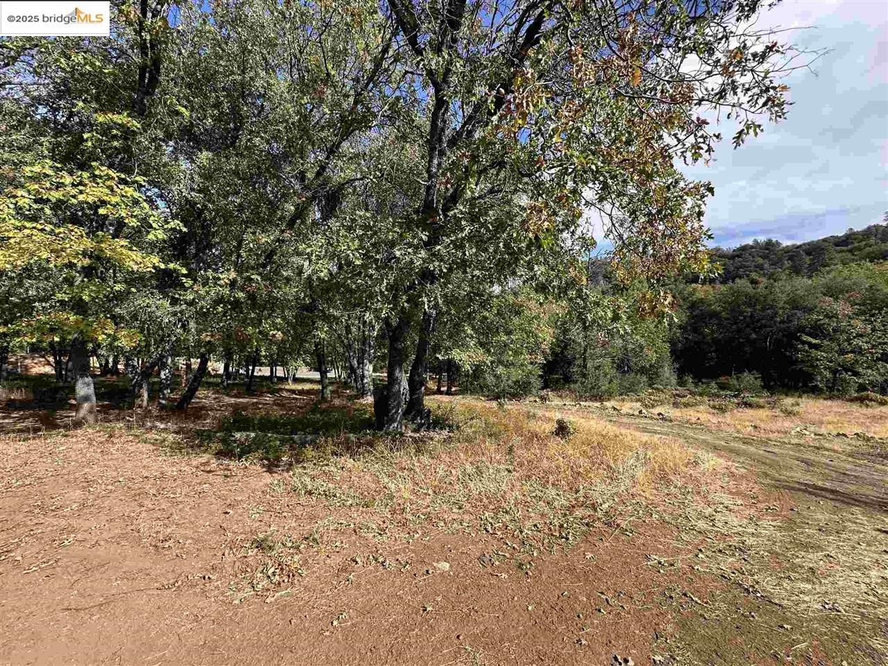 Detail Gallery Image 20 of 46 For 17401 Deer Park Court, Sonora,  CA 95370 - – Beds | – Baths
