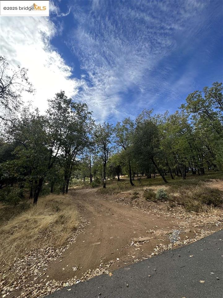 Detail Gallery Image 21 of 46 For 17401 Deer Park Court, Sonora,  CA 95370 - – Beds | – Baths
