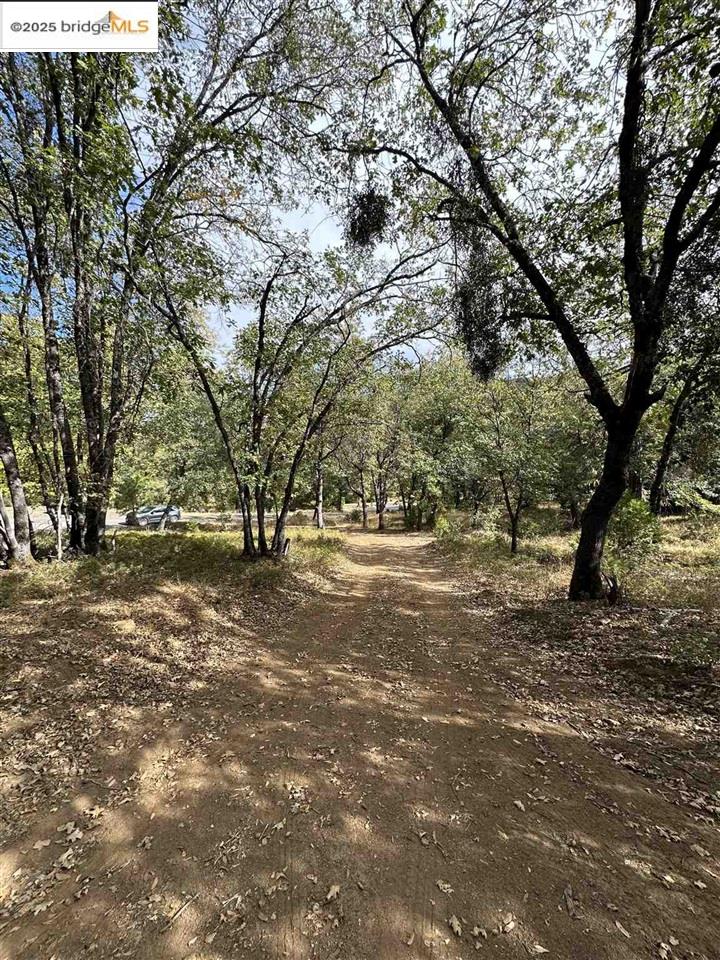 Detail Gallery Image 22 of 46 For 17401 Deer Park Court, Sonora,  CA 95370 - – Beds | – Baths