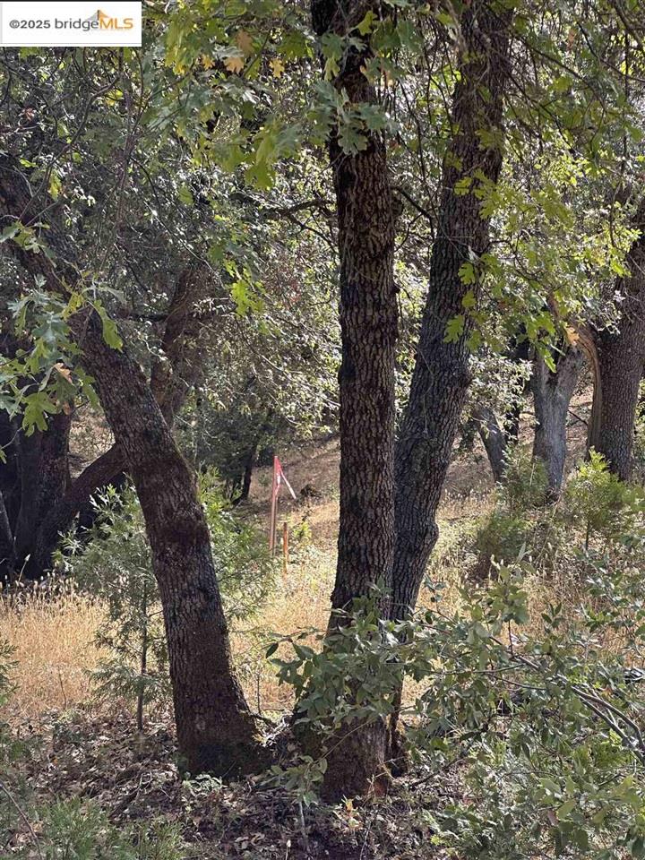 Detail Gallery Image 25 of 46 For 17401 Deer Park Court, Sonora,  CA 95370 - – Beds | – Baths