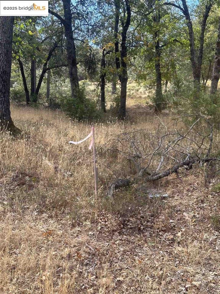 Detail Gallery Image 26 of 46 For 17401 Deer Park Court, Sonora,  CA 95370 - – Beds | – Baths