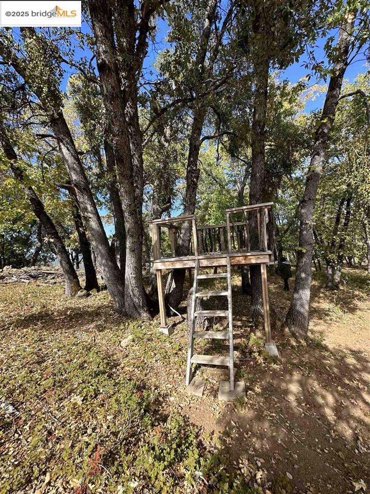 Detail Gallery Image 27 of 46 For 17401 Deer Park Court, Sonora,  CA 95370 - – Beds | – Baths