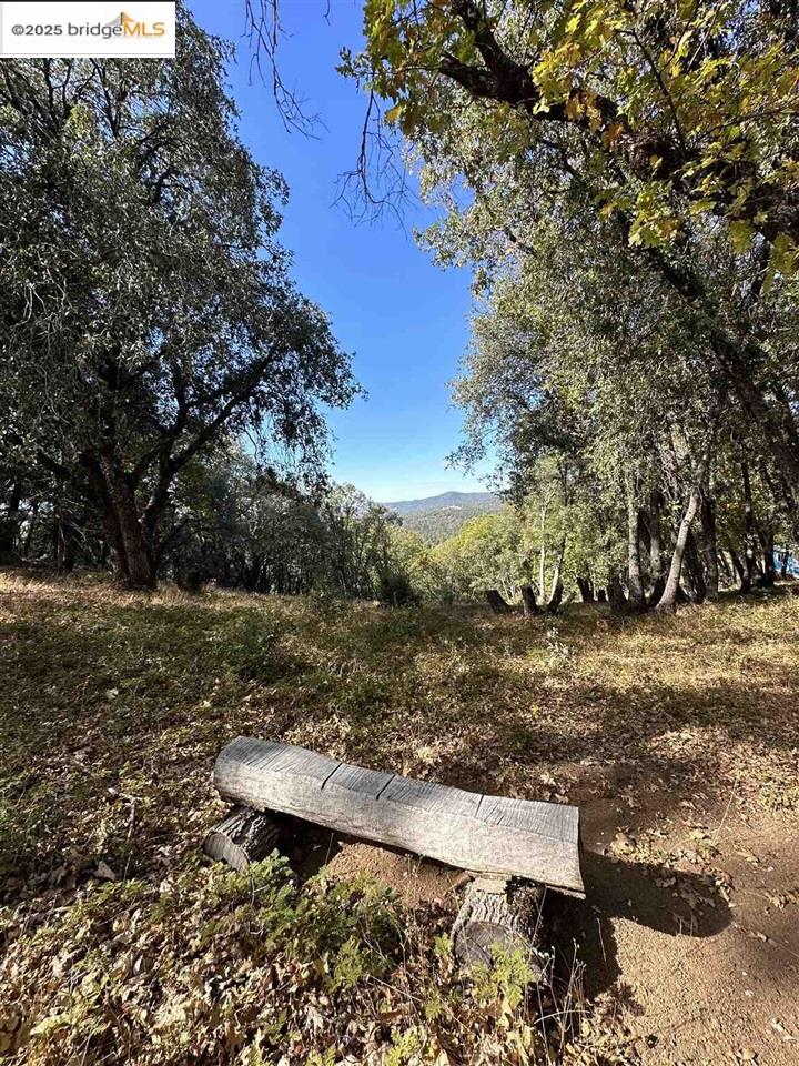 Detail Gallery Image 9 of 46 For 17401 Deer Park Court, Sonora,  CA 95370 - – Beds | – Baths