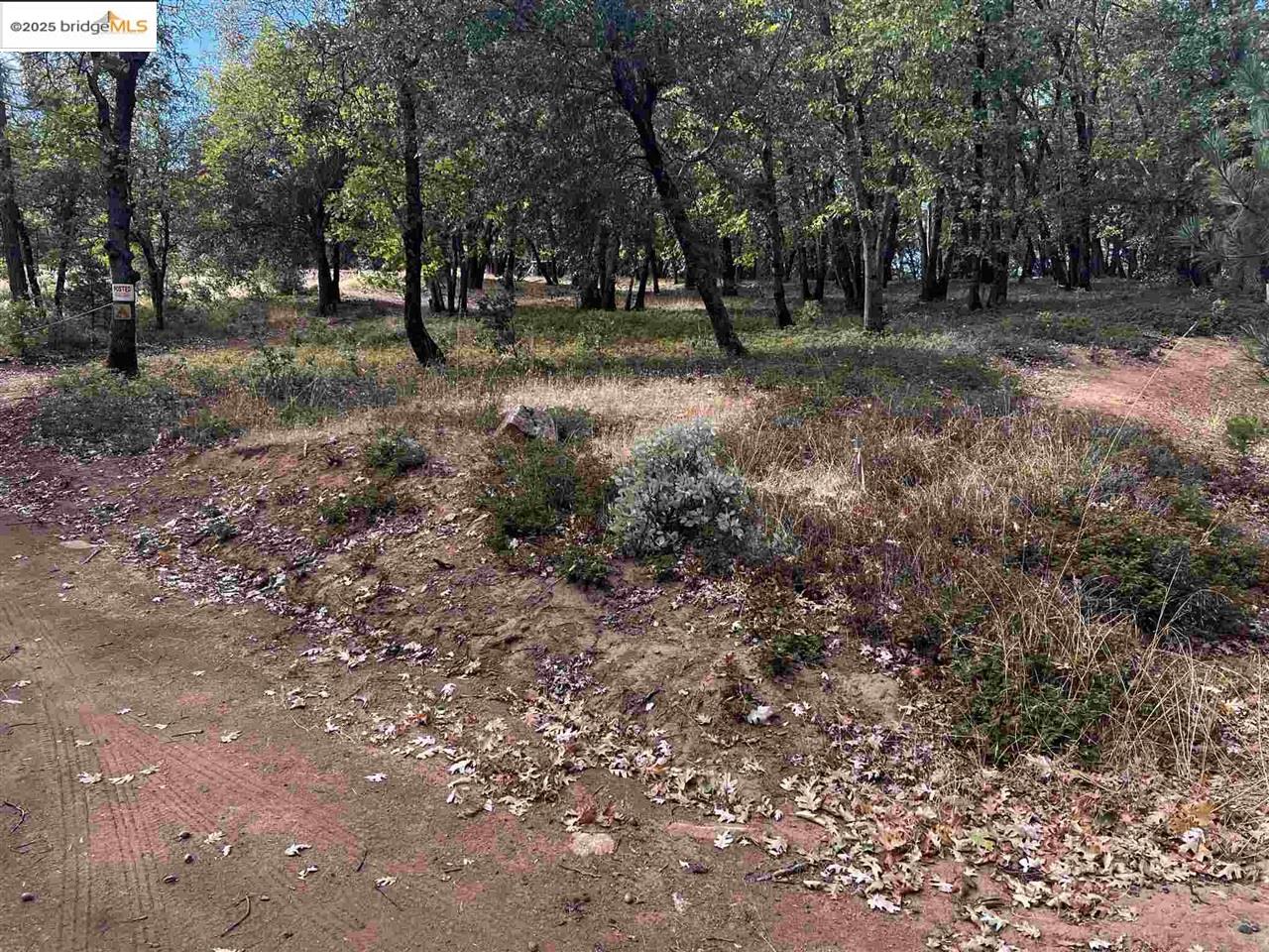 Detail Gallery Image 10 of 46 For 17401 Deer Park Court, Sonora,  CA 95370 - – Beds | – Baths
