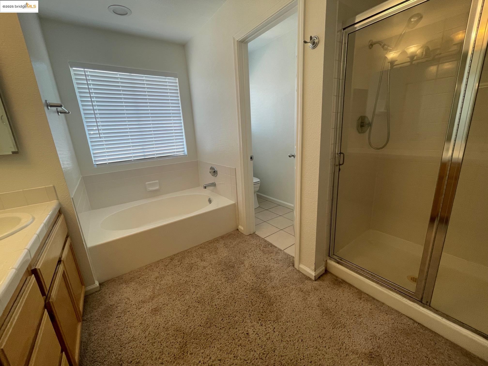 Detail Gallery Image 16 of 25 For 538 Apple Hill Dr, Brentwood,  CA 94513 - 4 Beds | 3 Baths