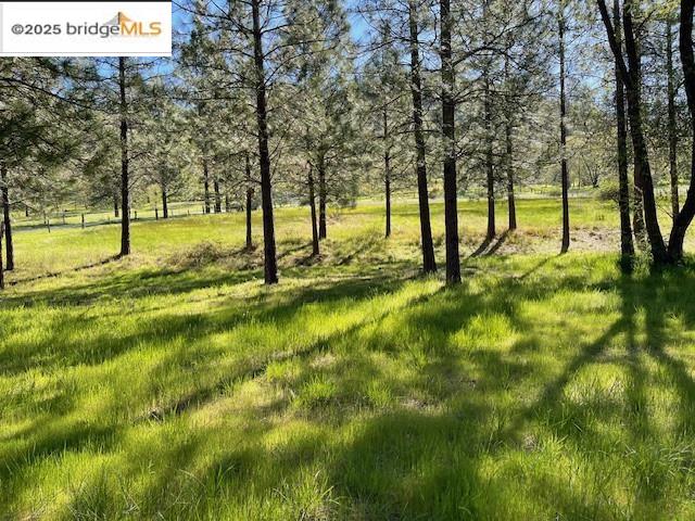 Detail Gallery Image 15 of 18 For 131 Salt Flat Rd, Lewiston,  CA 96052 - – Beds | – Baths
