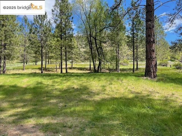 Detail Gallery Image 16 of 18 For 131 Salt Flat Rd, Lewiston,  CA 96052 - – Beds | – Baths