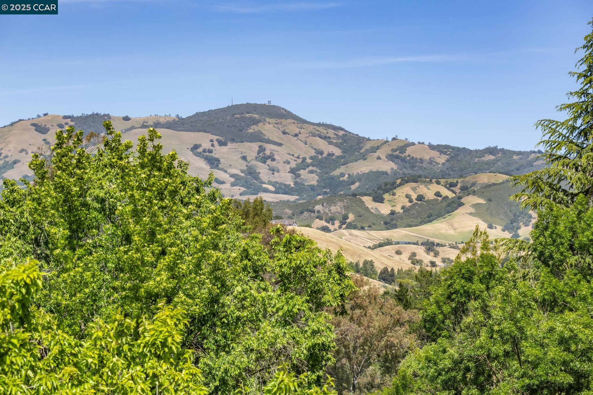 Detail Gallery Image 47 of 60 For 135 Dean Rd, Alamo,  CA 94507 - 6 Beds | 5/1 Baths