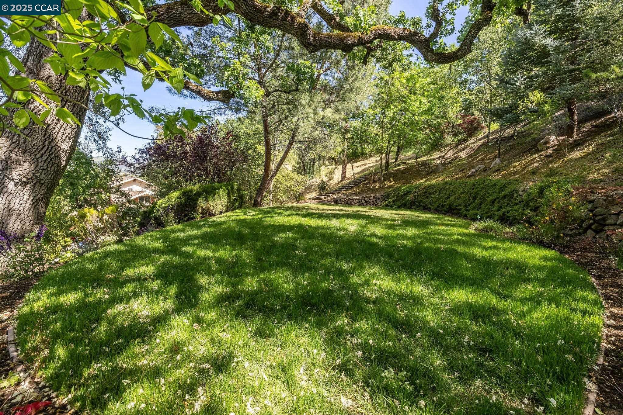 Detail Gallery Image 48 of 60 For 135 Dean Rd, Alamo,  CA 94507 - 6 Beds | 5/1 Baths