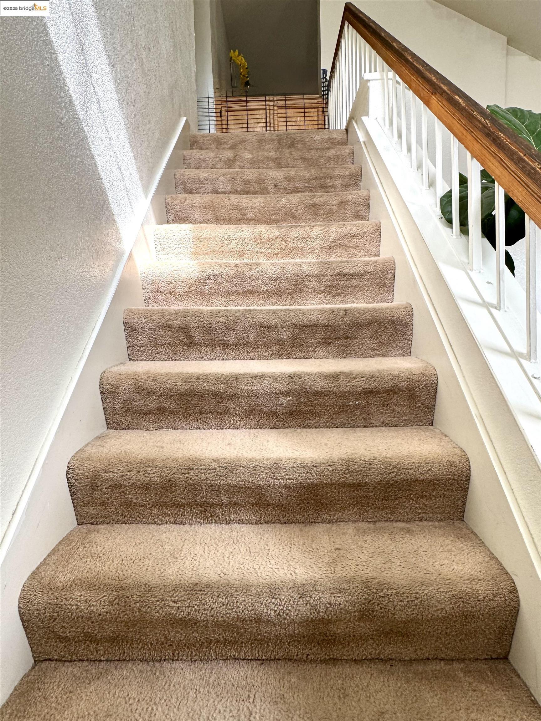 Detail Gallery Image 4 of 5 For 4641 Knollpark Court, Antioch,  CA 94531 - 3 Beds | 2/1 Baths