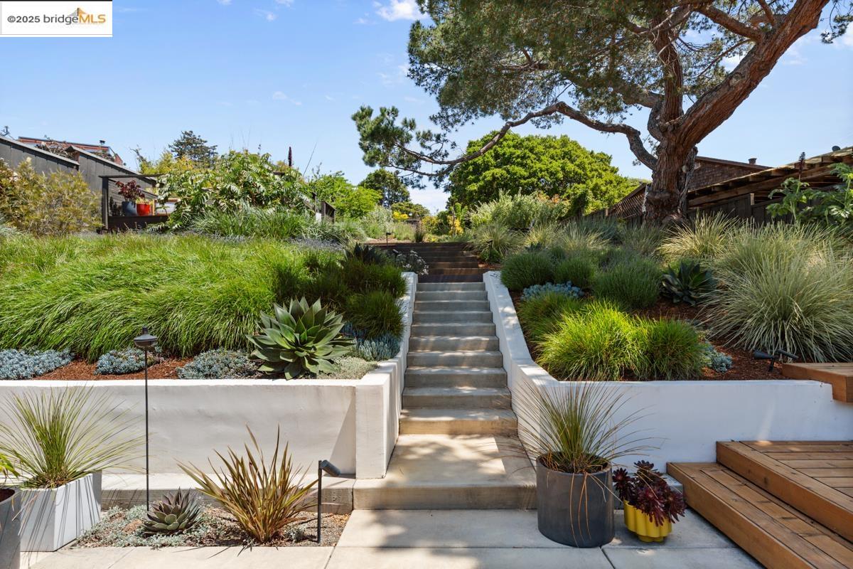 Detail Gallery Image 3 of 58 For 7376 Stockton Ave, El Cerrito,  CA 94530-2962 - 3 Beds | 3 Baths