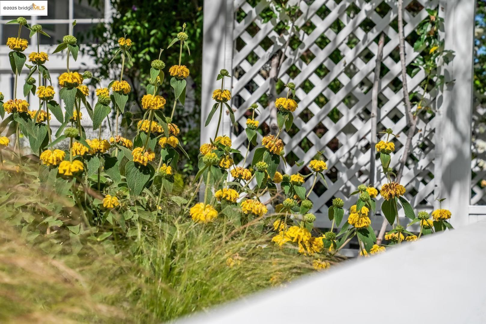 Detail Gallery Image 2 of 54 For 5490 Kales Ave, Oakland,  CA 94618 - 4 Beds | 2/1 Baths