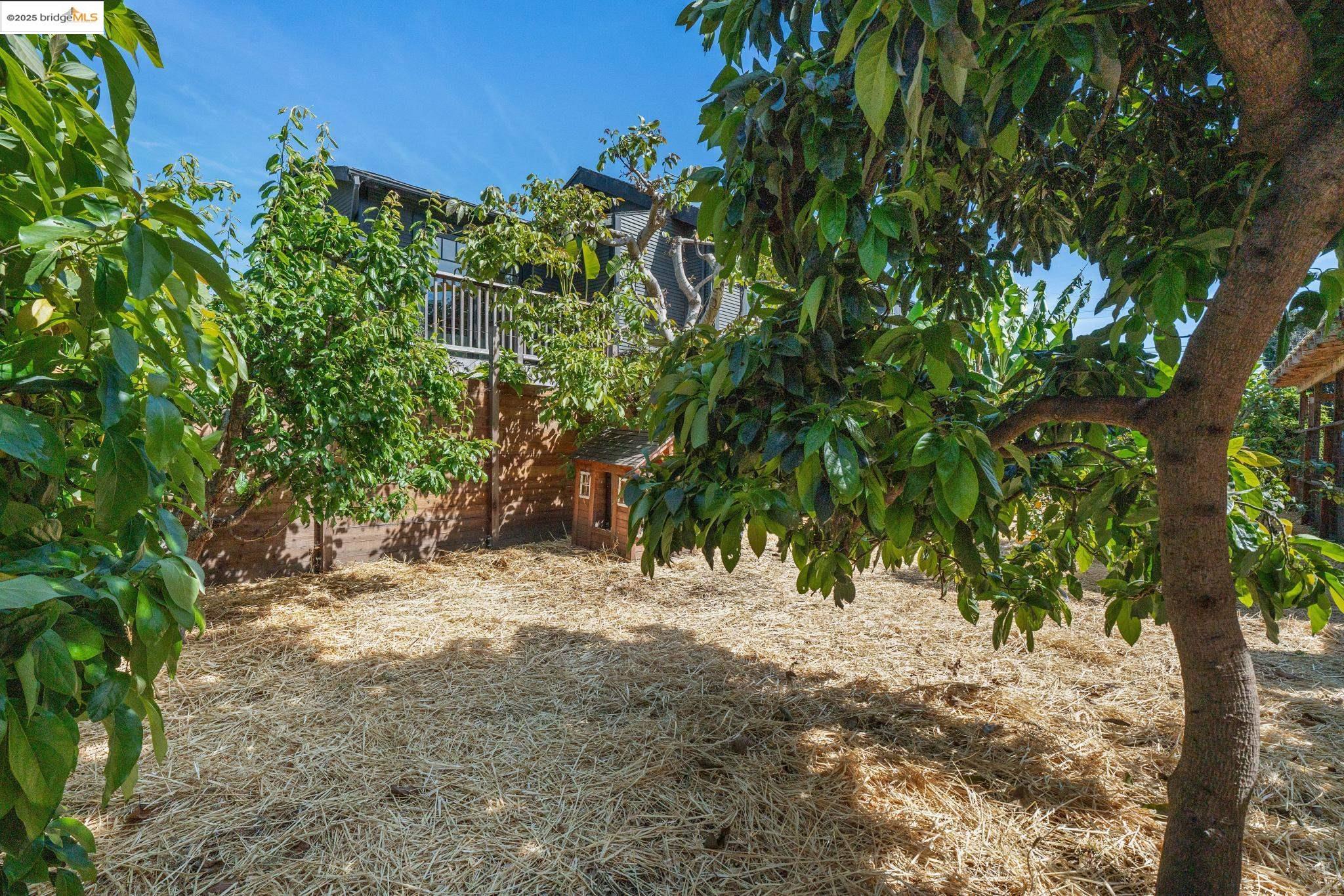 Detail Gallery Image 27 of 60 For 988-986 44th St, Oakland,  CA 94608 - – Beds | – Baths