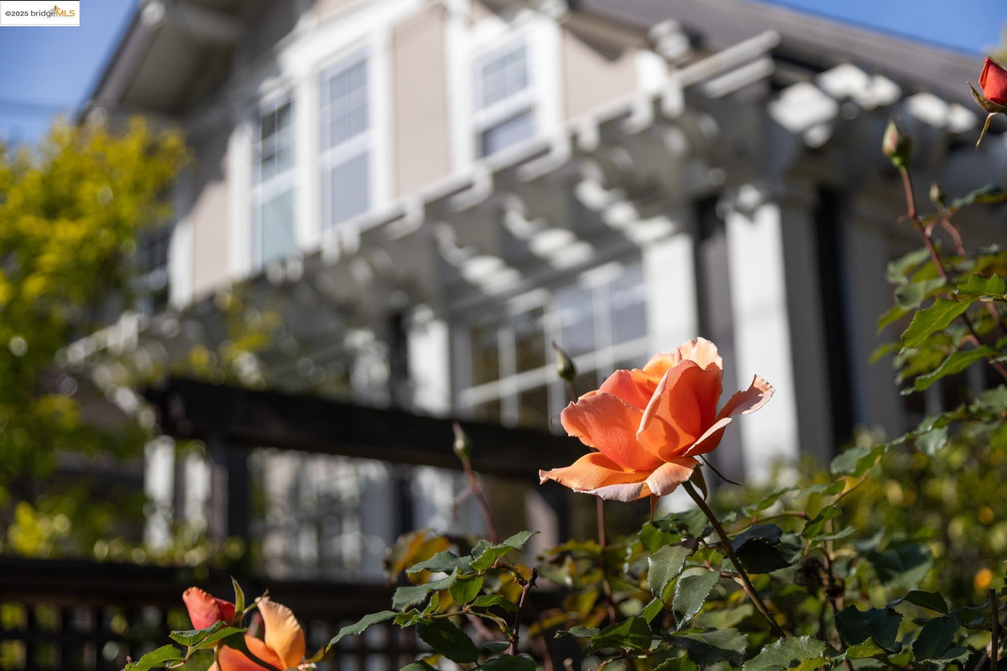 Detail Gallery Image 6 of 59 For 3801 Lakeshore Ave, Oakland,  CA 94610 - 4 Beds | 2/1 Baths
