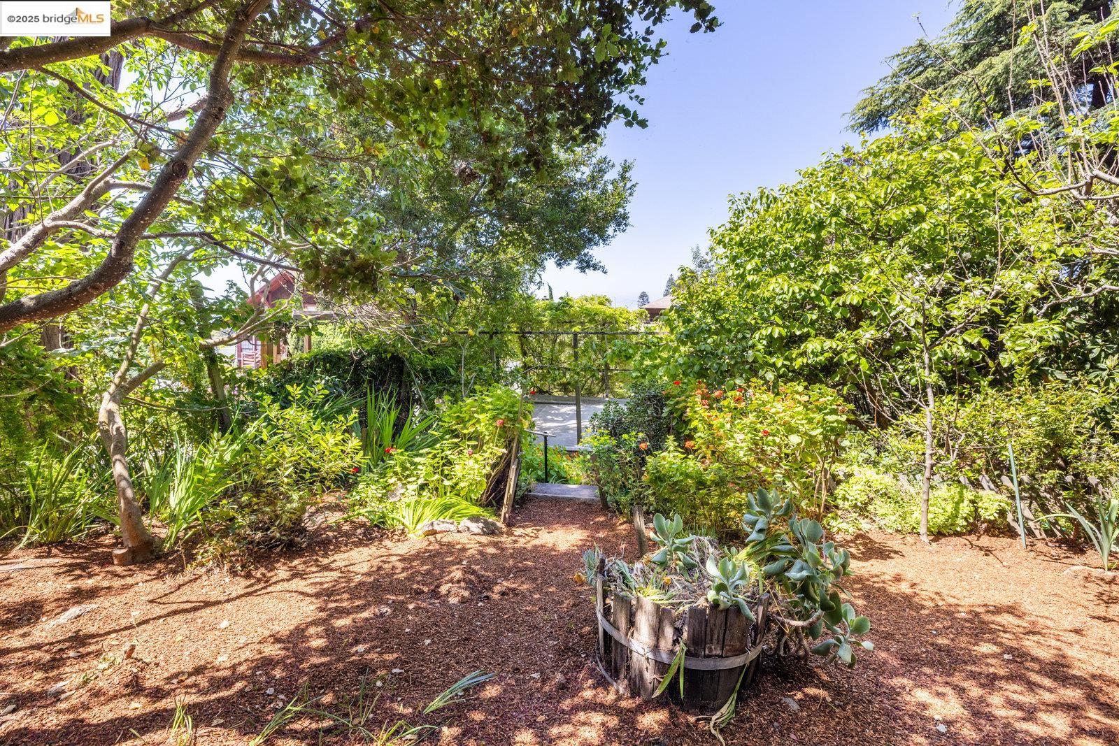 Detail Gallery Image 31 of 51 For 1324 Arch St, Berkeley,  CA 94708 - 5 Beds | 2/2 Baths