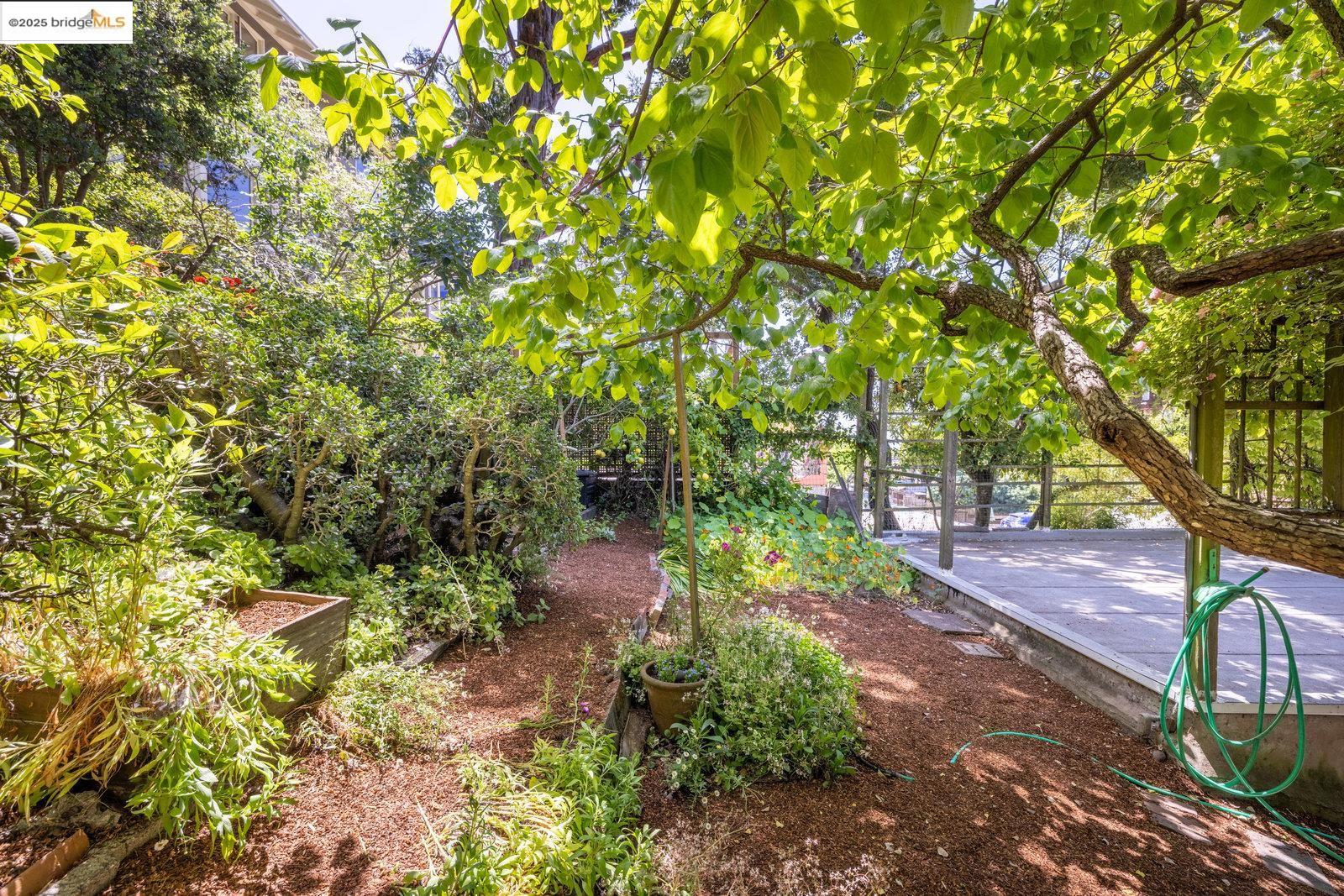 Detail Gallery Image 34 of 51 For 1324 Arch St, Berkeley,  CA 94708 - 5 Beds | 2/2 Baths