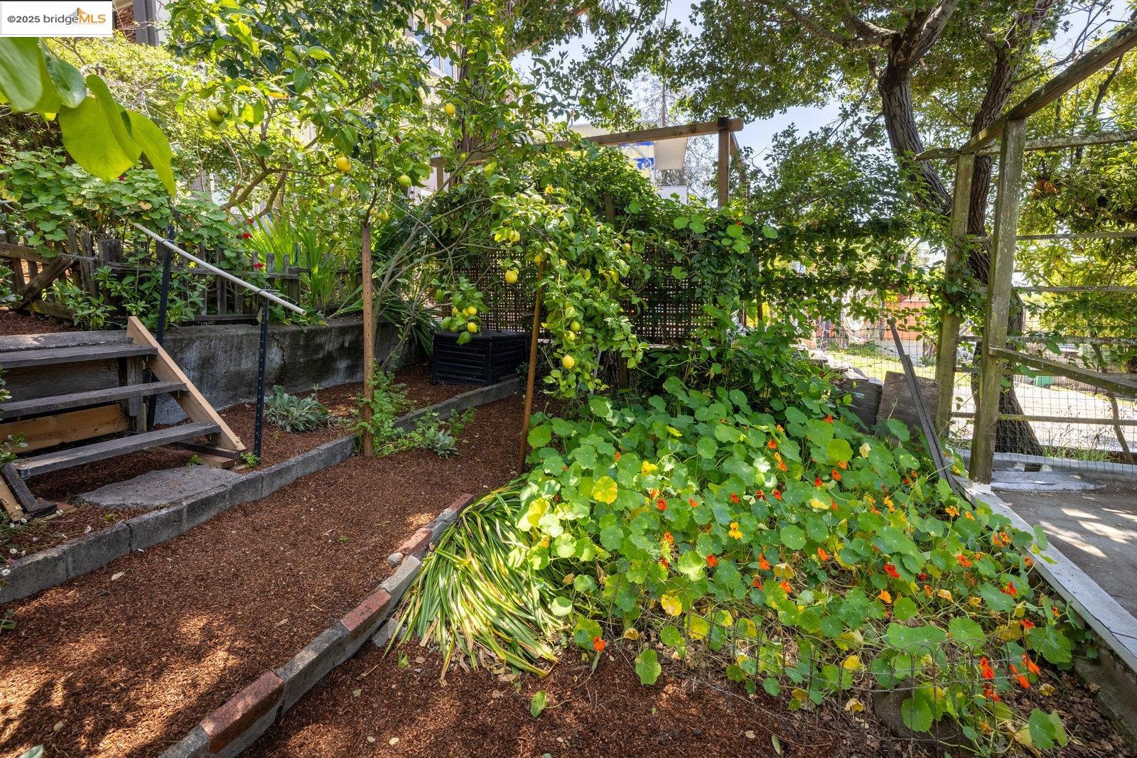 Detail Gallery Image 41 of 51 For 1324 Arch St, Berkeley,  CA 94708 - 5 Beds | 2/2 Baths