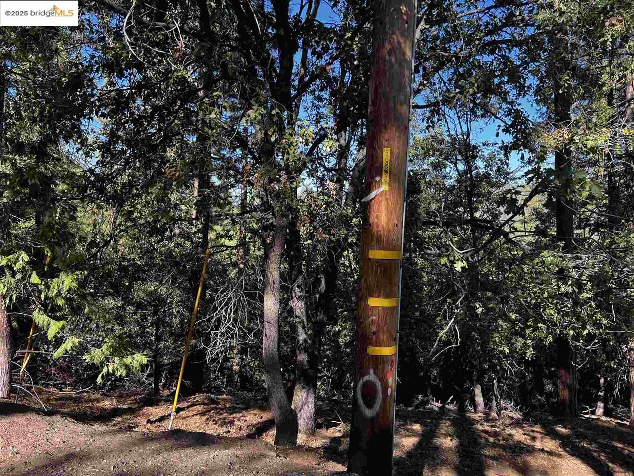 Detail Gallery Image 25 of 31 For 23804 S Oxbow Lane, Sonora,  CA 95370 - – Beds | – Baths