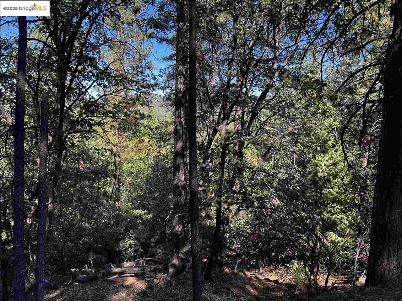 Detail Gallery Image 27 of 31 For 23804 S Oxbow Lane, Sonora,  CA 95370 - – Beds | – Baths