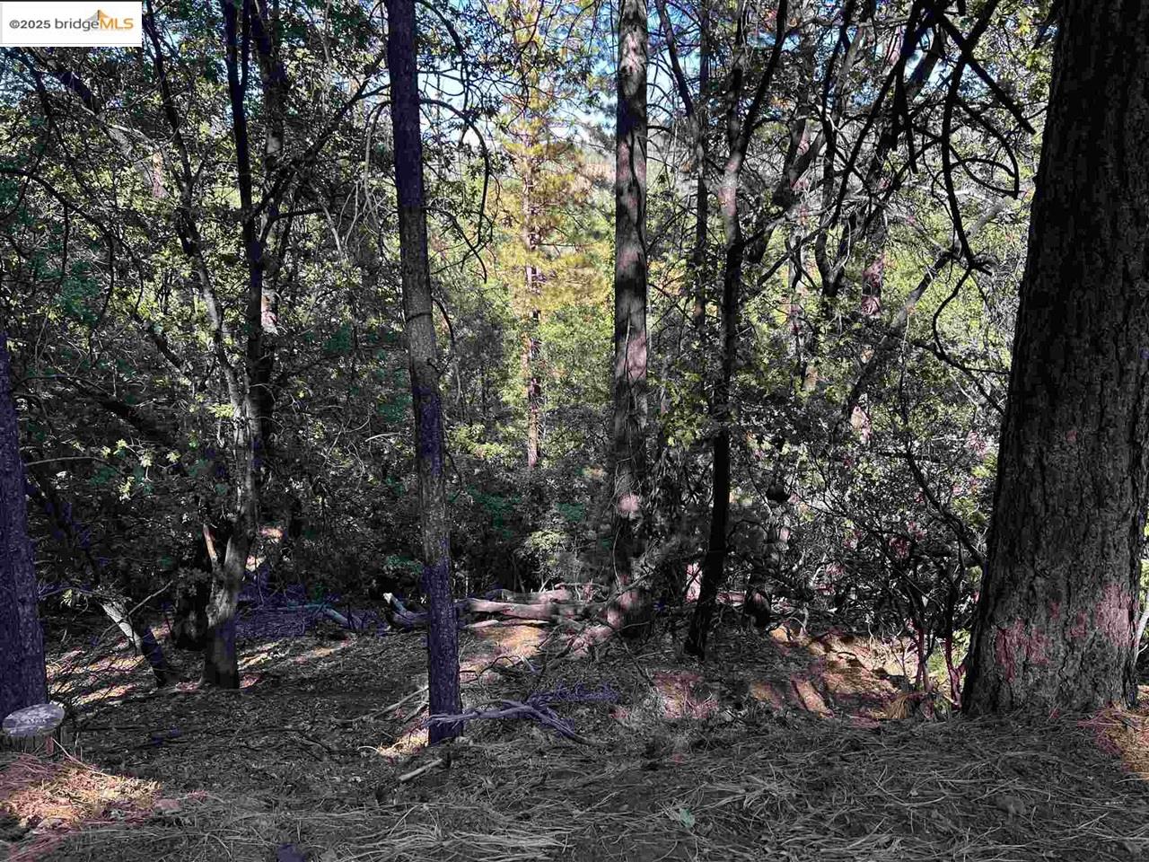 Detail Gallery Image 28 of 31 For 23804 S Oxbow Lane, Sonora,  CA 95370 - – Beds | – Baths