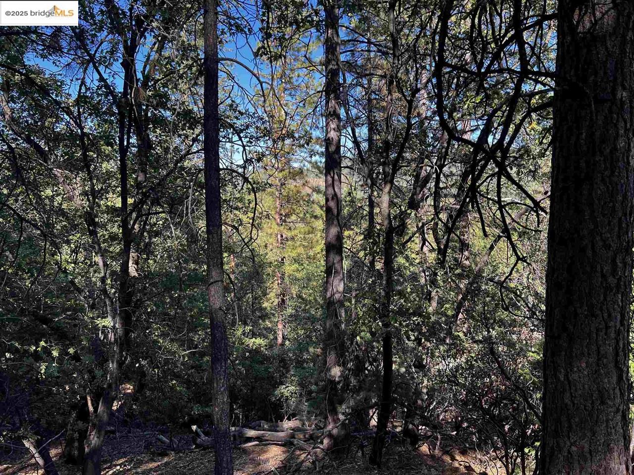 Detail Gallery Image 29 of 31 For 23804 S Oxbow Lane, Sonora,  CA 95370 - – Beds | – Baths