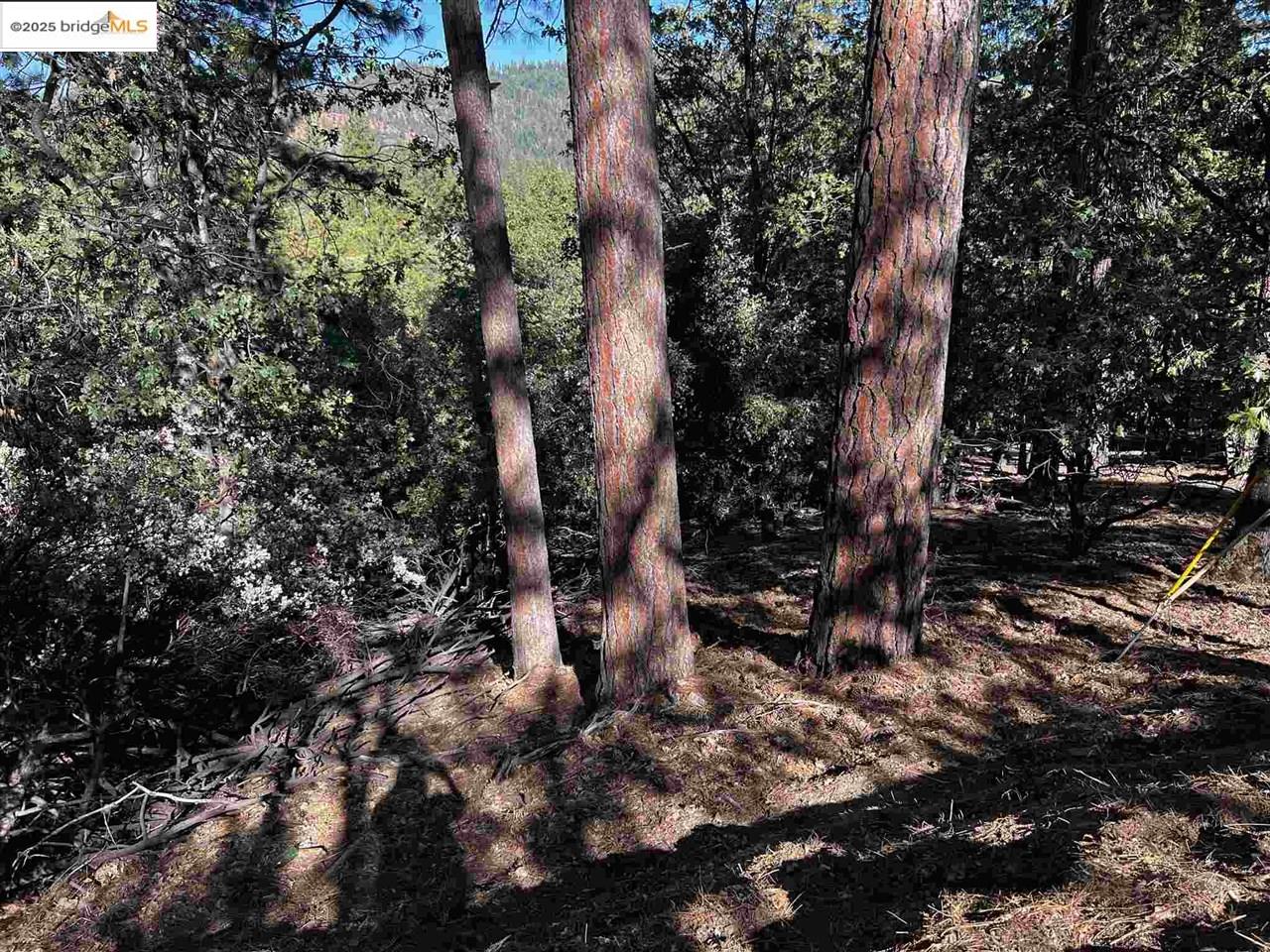 Detail Gallery Image 30 of 31 For 23804 S Oxbow Lane, Sonora,  CA 95370 - – Beds | – Baths